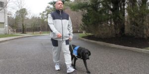 Man in a gray track suit walks along a road with his black lab in blue service vest