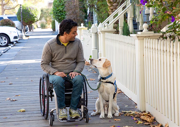a man sitting in a wheelchair smiles as he looks down at his yellow lab in blue service vest who sits beside him