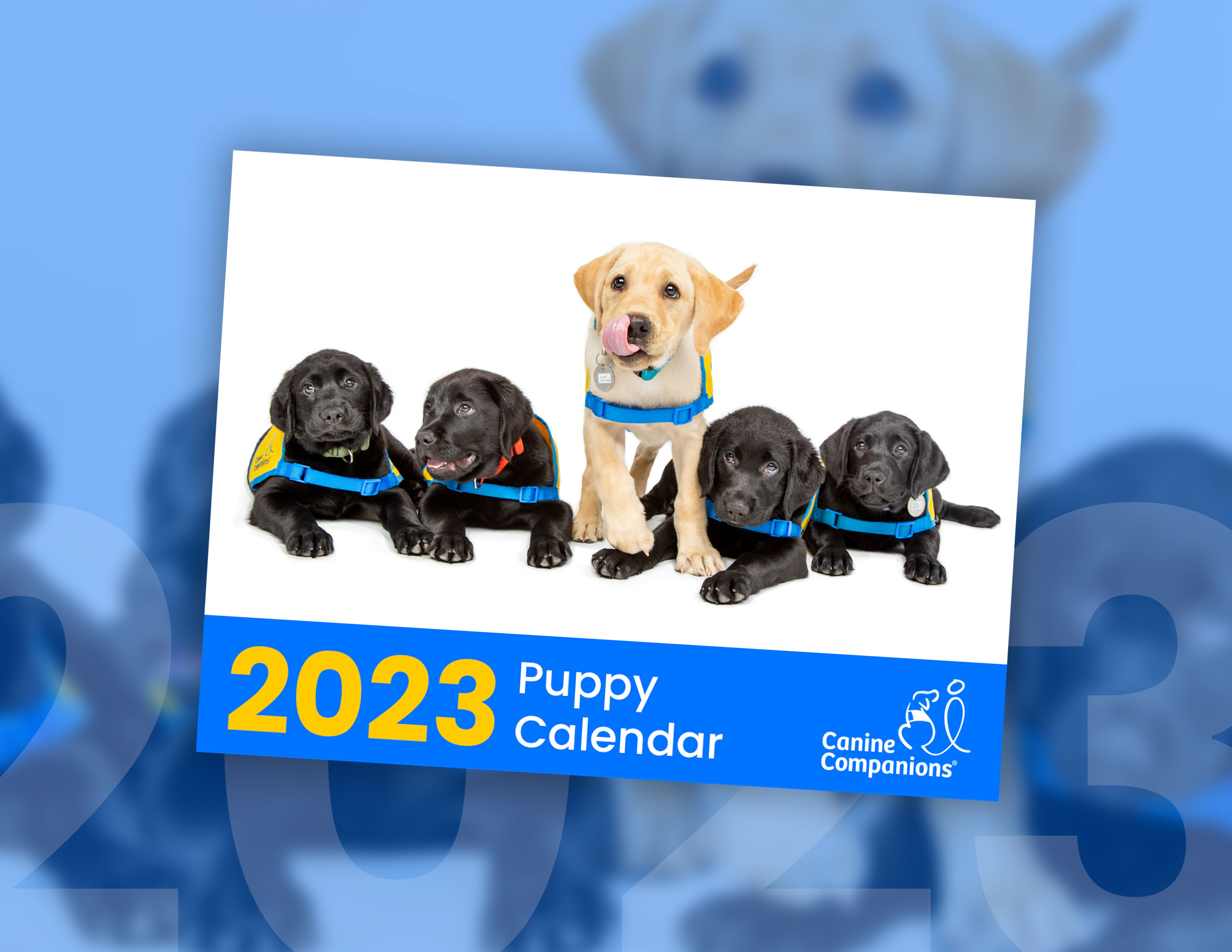 Image of the 2023 Puppy Calendar with a row of puppies in yellow puppy vests superimposed on a blue background with the text 2023 Puppy Calendar