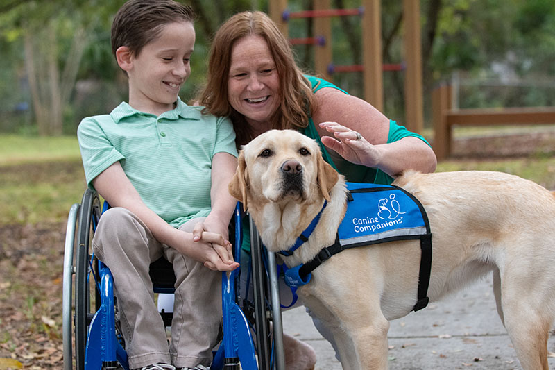 Young boy sitting in a wheelchair smiles down as a woman pets a yellow lab in blue service vest standing next to him