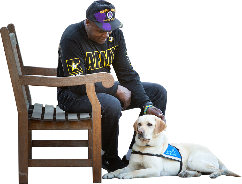 man on bench pets yellow lab in blue service vest