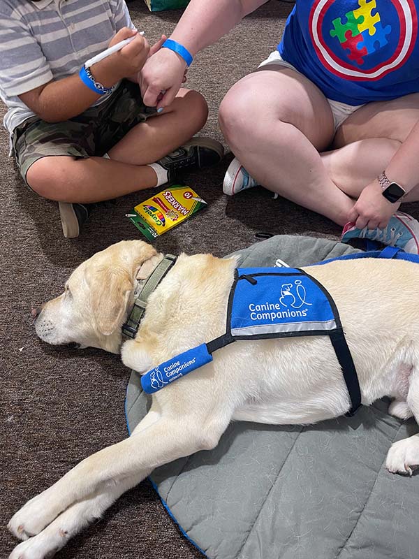 a yellow lab in blue service vest lays on the floor with some children who are coloring