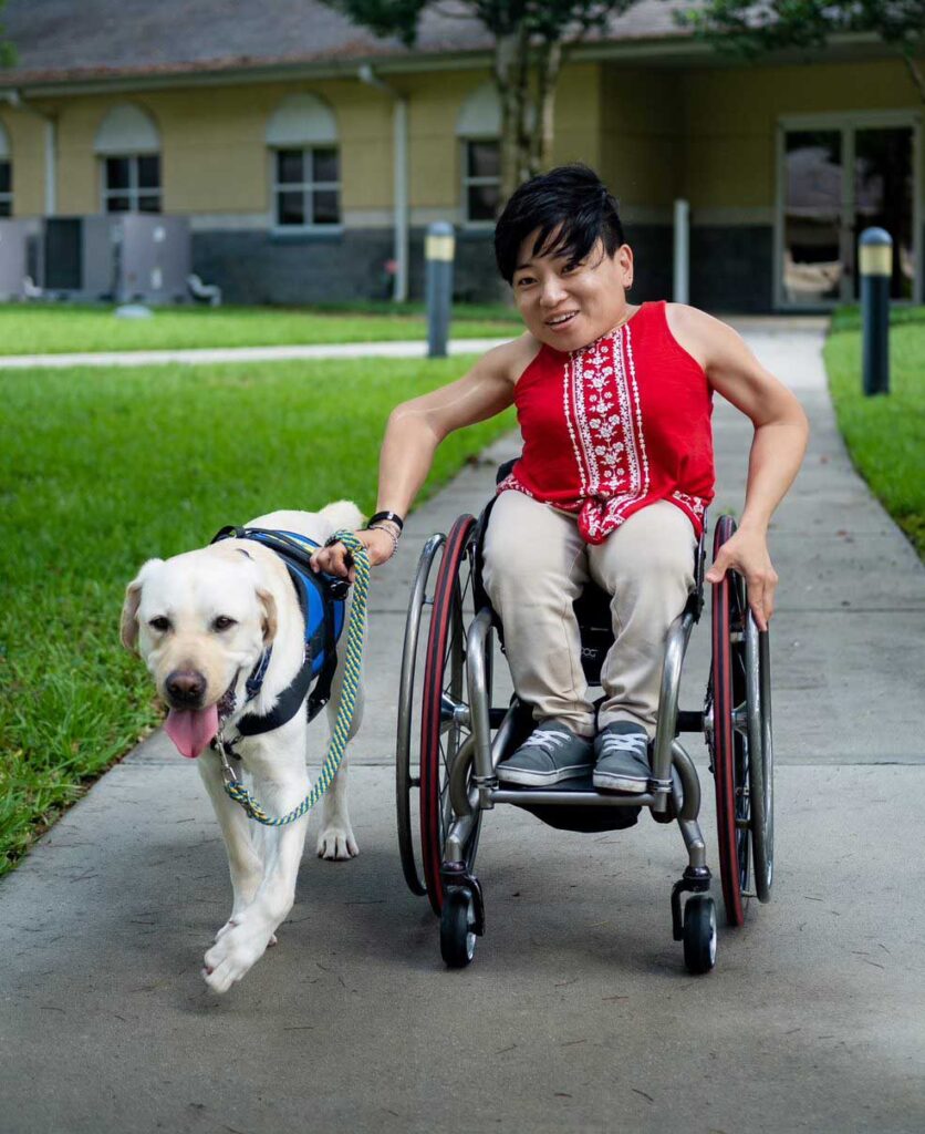 woman in wheelchair is pulled along by yellow lab service dog in blue vest