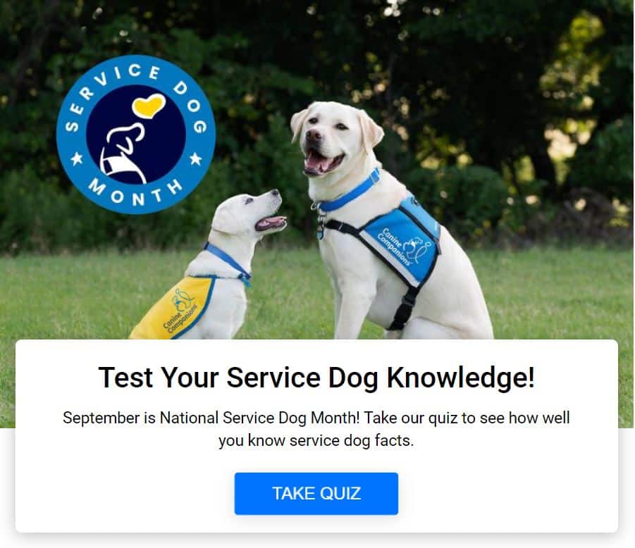 Screenshot of the Test Your Service Dog Knowledge Quiz