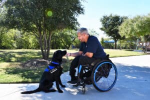 A man using a wheelchair looking down at a black service dog wearing a blue vest outdoors