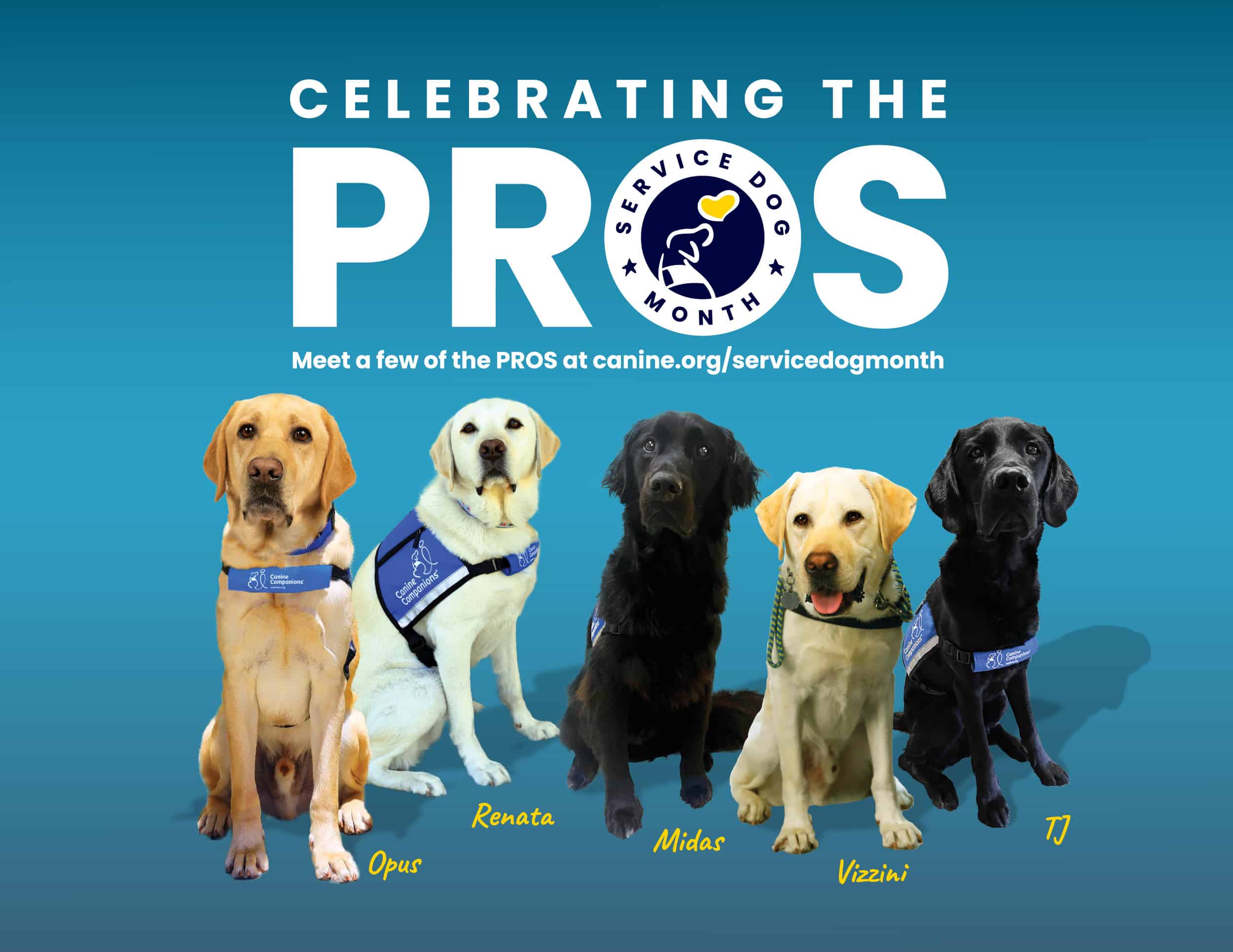 Blue background with Celebrating the Pros text and five service dogs in blue service vests named Opus, Renata, Midas, Vizzini, and TJ