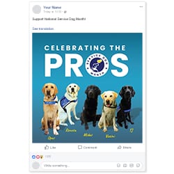 Thumbnail example of a facebook post