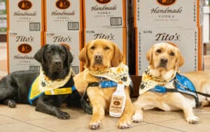 dogs in vests in front of Tito's Vodka boxes