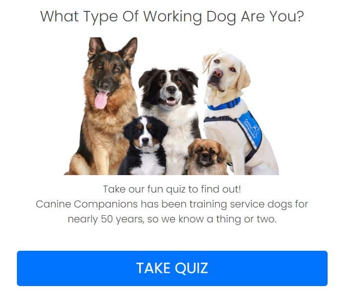 Screenshot of the What type of working dog are you quiz