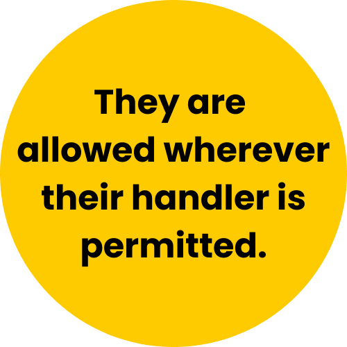 Icon with text saying they are allowed wherever their handler is permitted