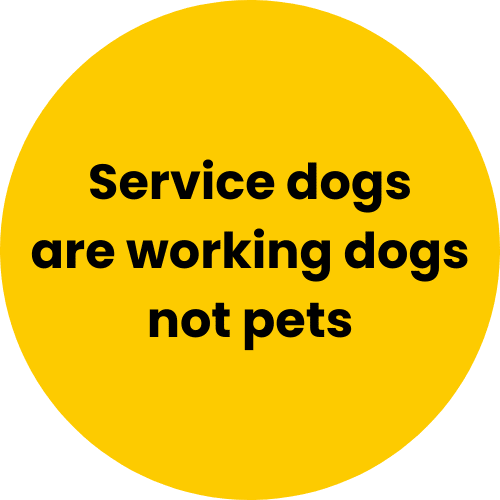 Yellow icon with the text Service dogs are working dogs not pets