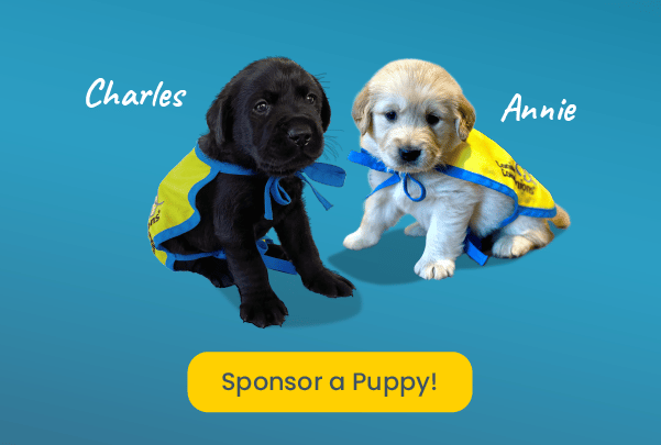 2 young puppies on a blue background