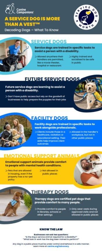 What Are The Differences Between Service Dogs, Facility Dogs, Therapy ...