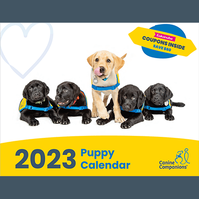 una foto de cinco cachorros labrador y texto que dice, calendario de cachorros 2023;  compañeros caninos;  Cupones de Eukanuba en el interior;  ahorra $60