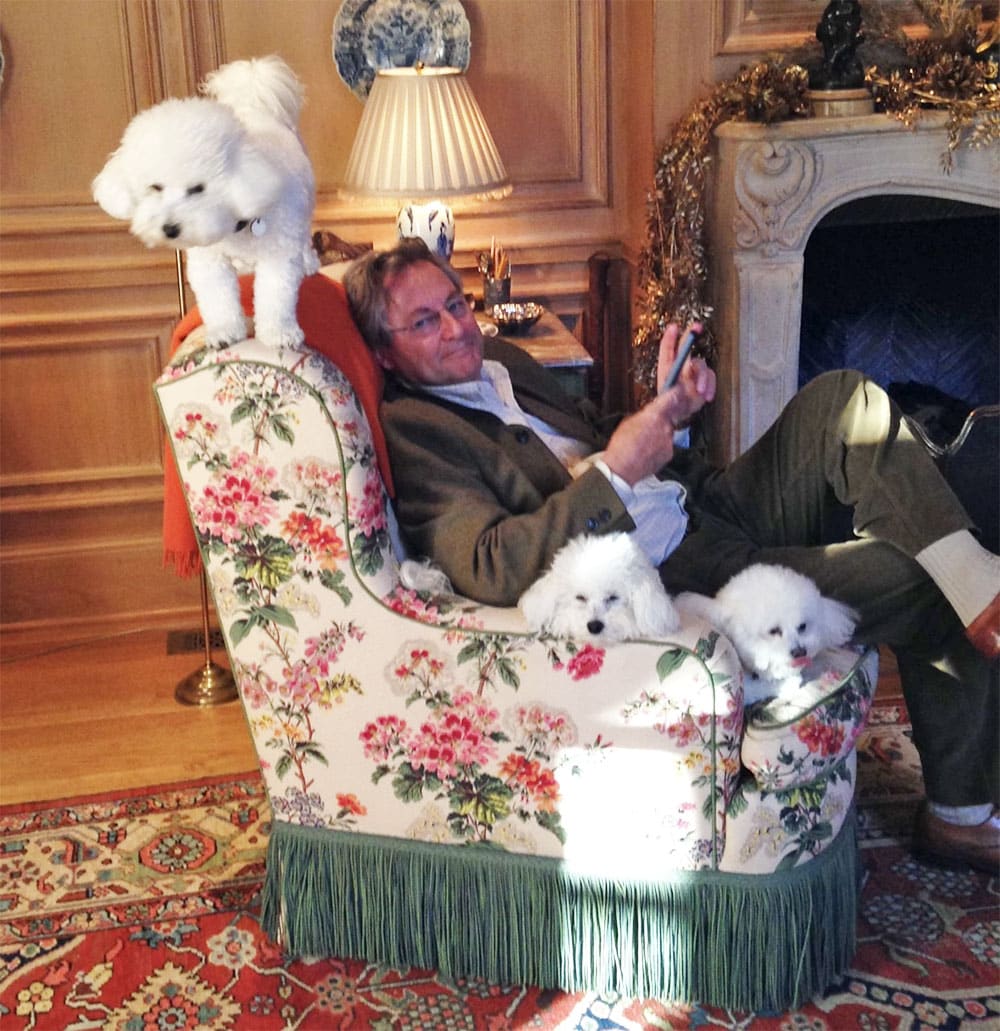 a man sits in an armchair with three white bichon frise Dogs