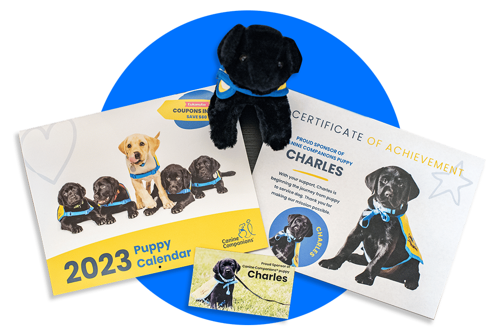 image of a plush black lab puppy next to a 2023 Canine Companions puppy calendar, a name card for the puppy, and a certificate for the adopt a puppy program