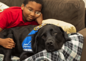 young boy on the couch with facility dog Bear