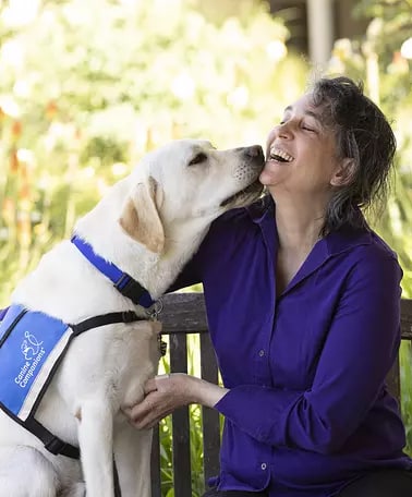 Smiling woman sits on a bench being licked by a yellow lab service dog wearing a blue vest