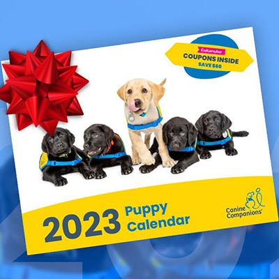 An image of the 2023 Puppy Calendar with a red gift bow on it