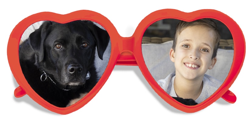 A red pair of heart shaped glasses with the image of a young boy and a black lab service dog in each lens.