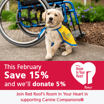 Image of a puppy in a yellow puppy cape sitting in front of a wheelchair. There is text saying This February save 15 percent and we'll donate 5 percent. Next to the text is the Red Roof logo.