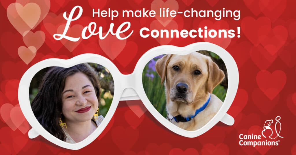 A red background full of hearts with the text Help make life-changing love connections! and the image of a pair of glasses with heart shaped lenses with the image of a woman and a yellow lab in each