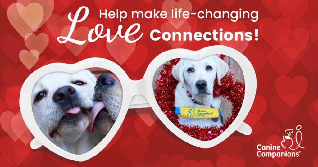 A red background full of hearts with the text Help make life-changing love connections! and the image of a pair of glasses with heart shaped lenses with the images of puppies in each