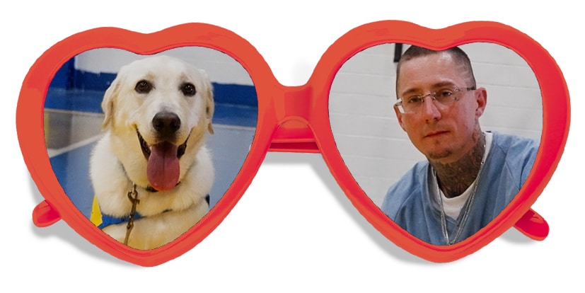 A red pair of heart shaped glasses with the image of a man and a yellow lab service dog in each lens.