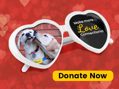 white heart glasses on a heart background with 2 puppies kissing. text: make more love connections, donate now