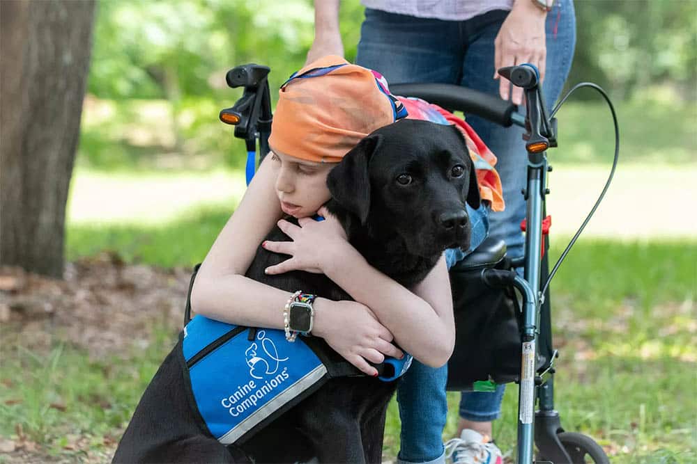 a young girl in a head wrap sitting in a wheel chair hugs a black lab in a blue service vest