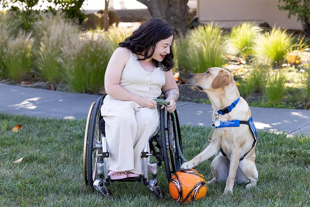 A woman in a wheelchair smiles down at her yellow lab service dog wearing a blue vest.