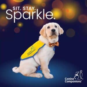graphic containing Sit Stay Sparkle logo with yellow puppy wearing bowtie