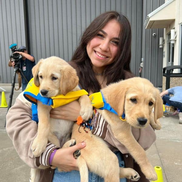 Which team are you rooting for? The - Canine Companions