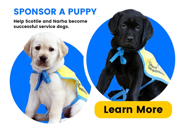 2 puppies in circles. Text: Sponsor a puppy, button says: Learn more
