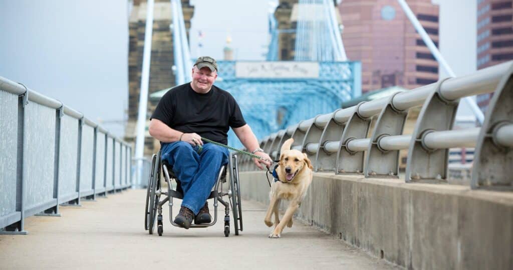Man in a wheelchair being pulled by a service dog across a bridge