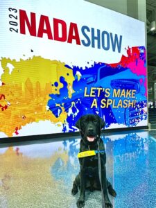 A black lab in a yellow puppy vest sits in front of a sign for the NADA Show 2023