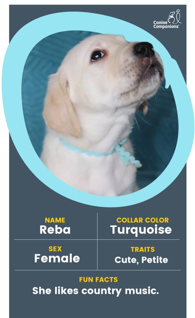 A yellow lab puppy in a light blue circle with the name Reba