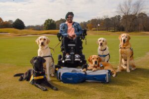 Woman in wheelchair with dogs on golf course.