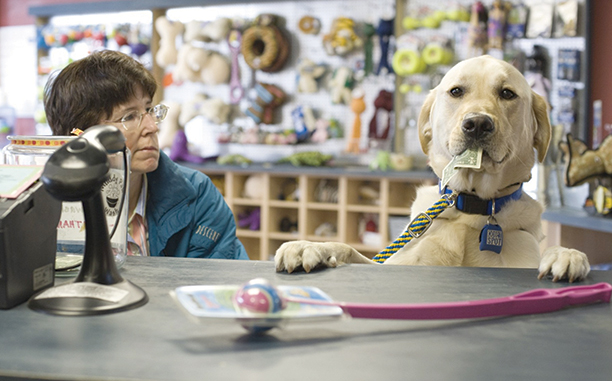 A dog pays at a counter with a dollar bill in its mouth