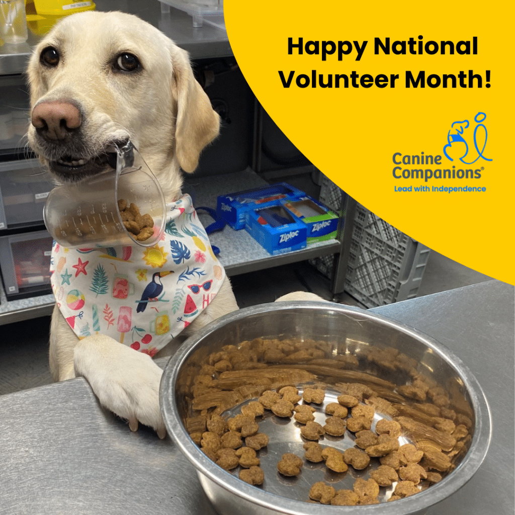A yellow lab sitting in front of a food bowl with the text Happy Volunteer Month