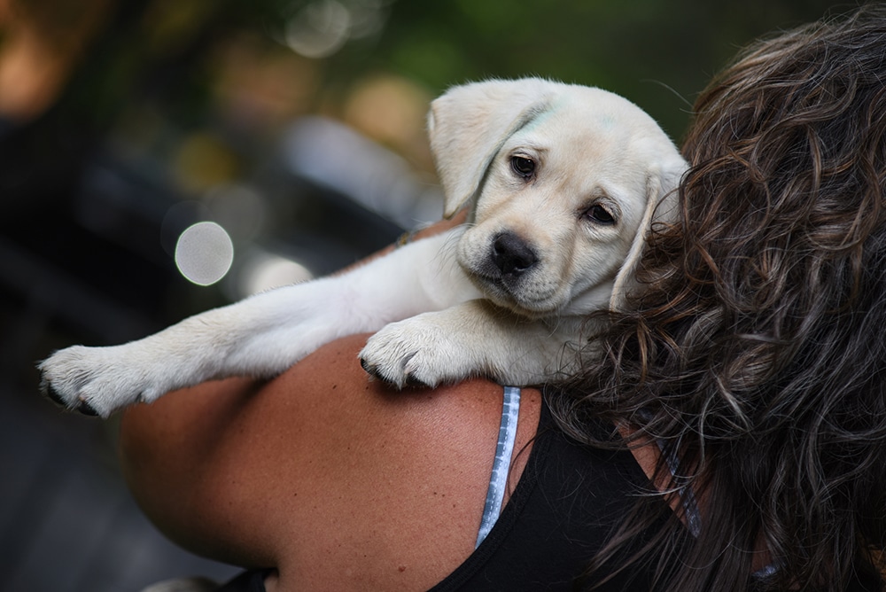 puppy in woman's arms