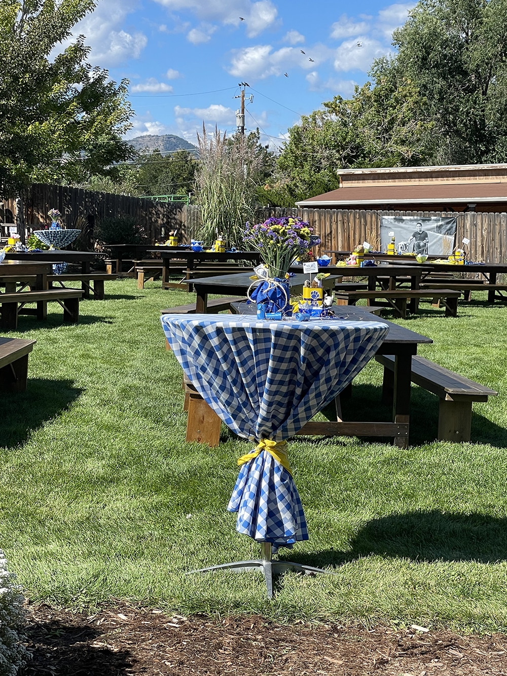 Picnic tables set in yard