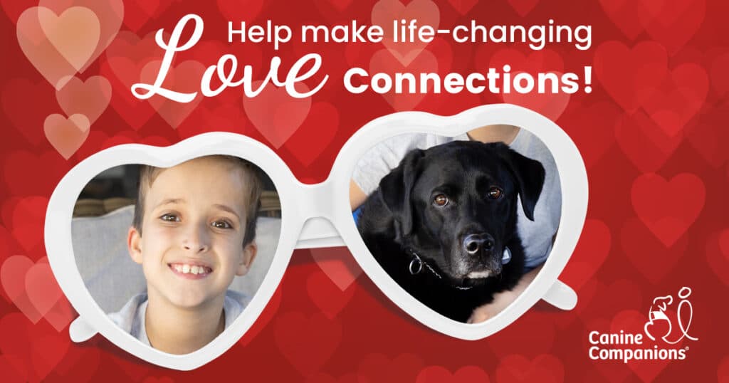 A red background full of hearts with the text Help make life-changing love connections! and the image of a pair of glasses with heart shaped lenses with the image of a boy and a yellow lab in each