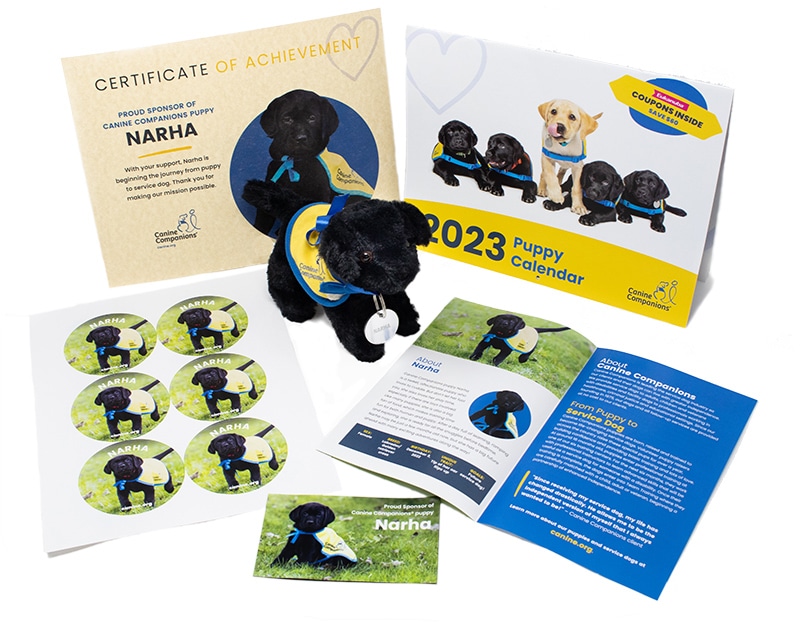 gift pack for narha puppy sponsorship featuring a plush dog, a calendar, a certificate, a magnet, and stickers