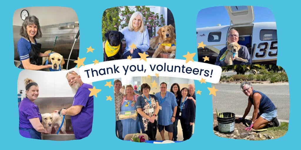 a collage of six images of people with dogs; text that reads, “thank you, volunteers!” in the middle with stars surrounding it