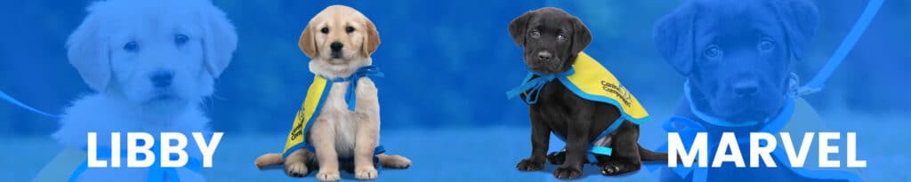 Sponsor a Puppy - Canine Companions
