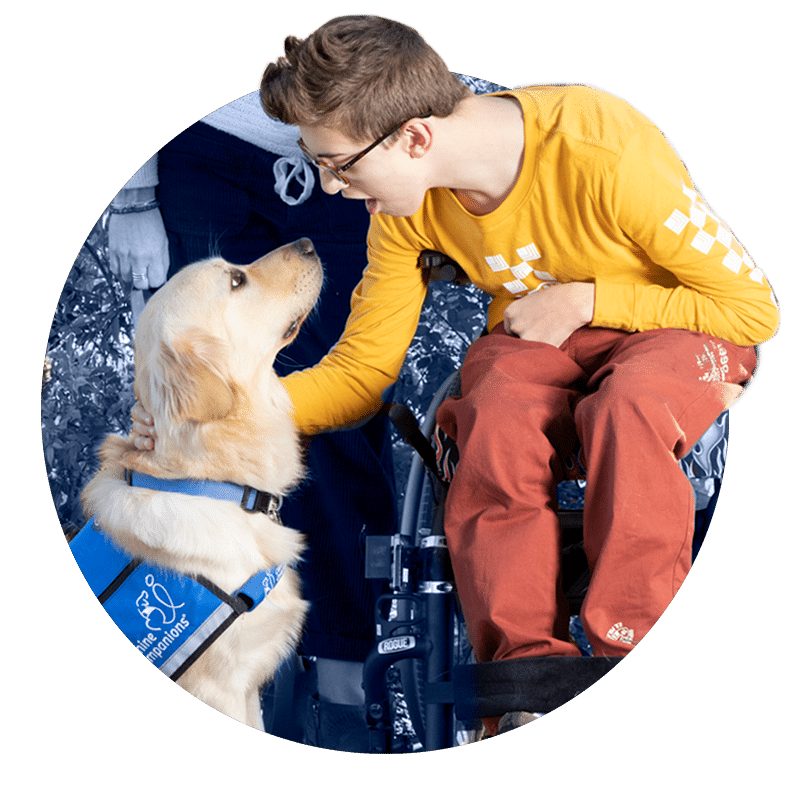 a boy in a wheelchair bends down to pet his yellow lab service dog wearing a blue service vest. His mother stand behind him.