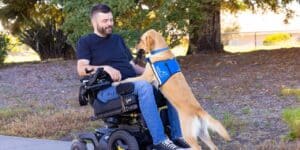 a man sitting on an electric wheelchair with a Labrador propping up on his lap using his front legs, holding a cell phone in his mouth