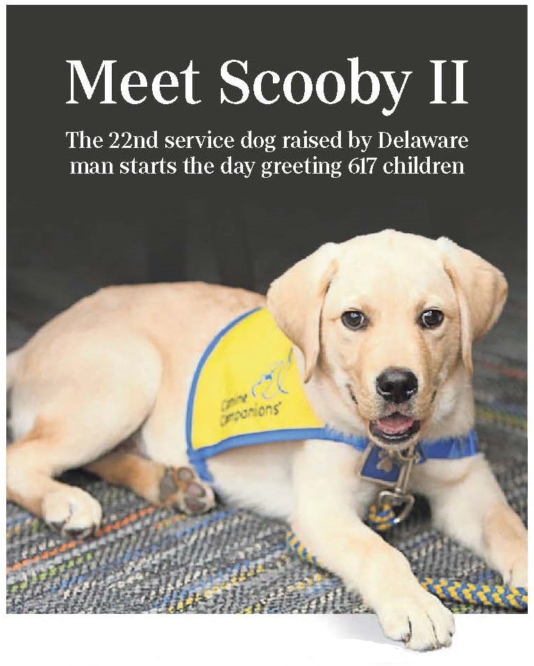 Canine Companions future 3 month old service dog Scooby 2