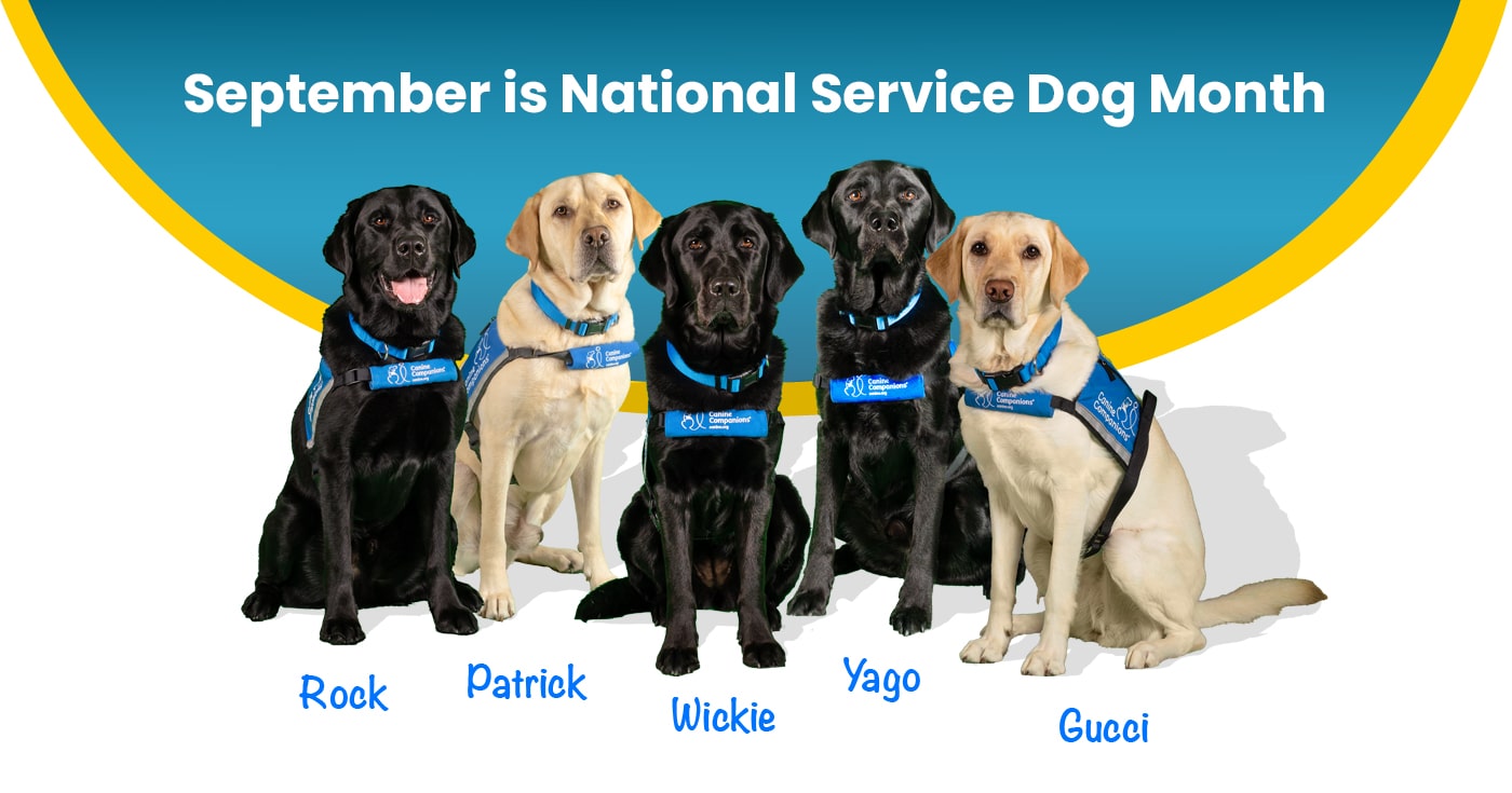 Request a Local Proclamation for National Service Dog Month Canine